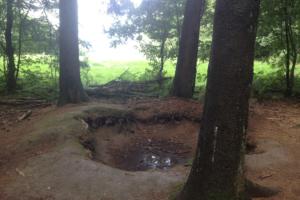 One of the foxholes dug by Easy Company
